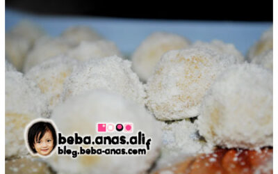 Resipi Biskut Cerelac [Biskut Minyak Sapi]