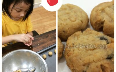 Biskut Chocolate Chips Nestum Super Duper Senang (Resipi)